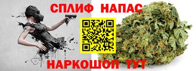 спайс Аша