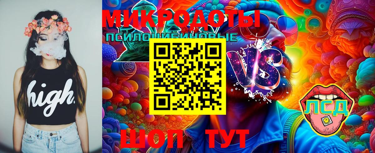 Галлюциногенные грибы Magic Shrooms Грязи