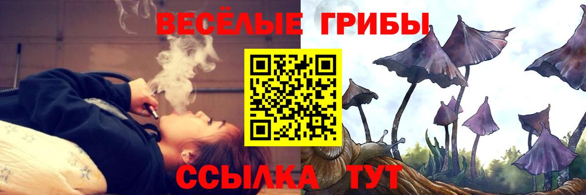 Галлюциногенные грибы Psilocybe  Вход с VPN  Грязи  Псилоцибиновые грибы ЛСД 